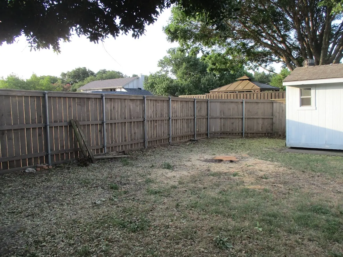 Cleared yard after professional tree removal in Richford